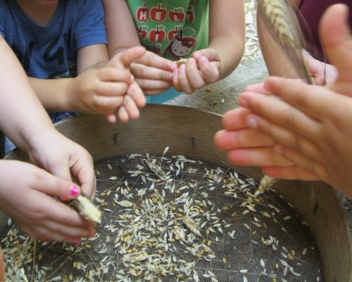 foto Campo estivo (2)